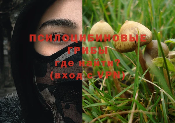 стаф Абдулино