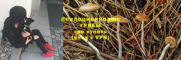 мяу мяу мука Абинск