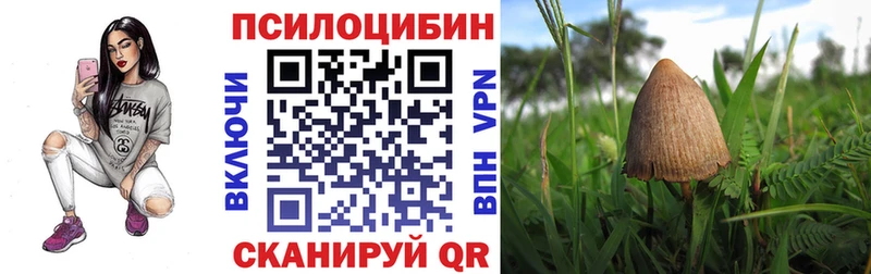 Галлюциногенные грибы Psilocybe  Архангельск 
